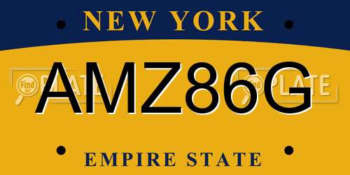 AMZ86G New York License Plate