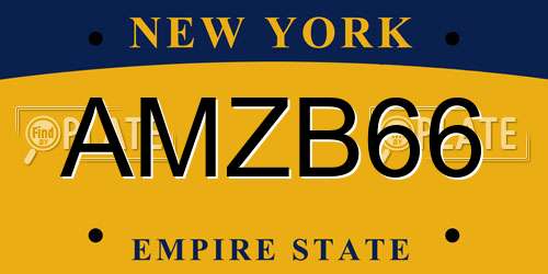 AMZB66 New York License Plate