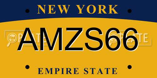 AMZS66 New York License Plate