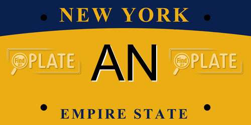 AN New York License Plate