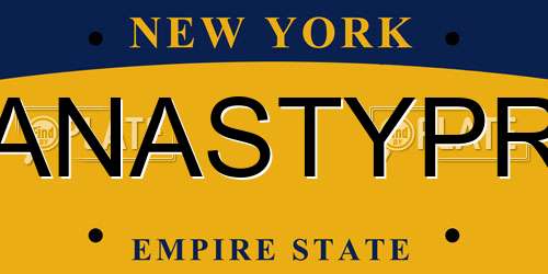 ANASTYPR New York License Plate
