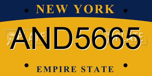 AND5665 New York License Plate