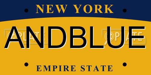ANDBLUE New York License Plate