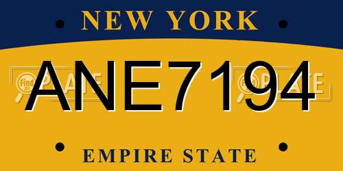 ANE7194 New York License Plate