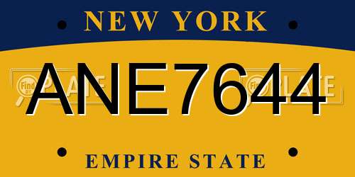 ANE7644 New York License Plate