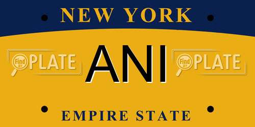 ANI New York License Plate