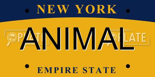 ANIMAL New York License Plate