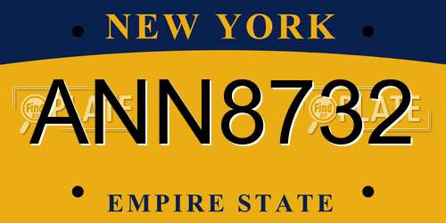 ANN8732 New York License Plate