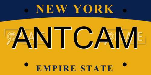 ANTCAM New York License Plate
