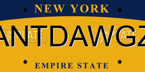 ANTDAWGZ New York License Plate