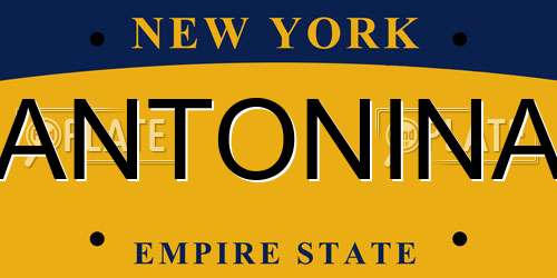 ANTONINA New York License Plate