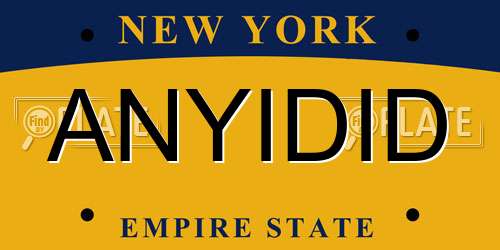 ANYIDID New York License Plate