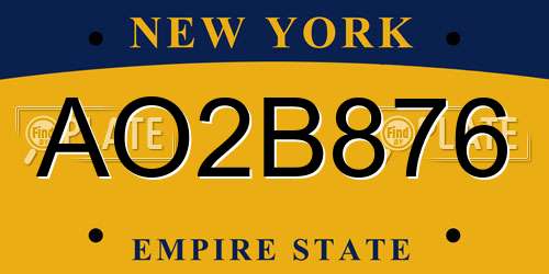 AO2B876 New York License Plate