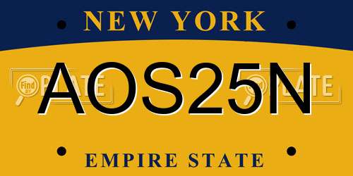 AOS25N New York License Plate