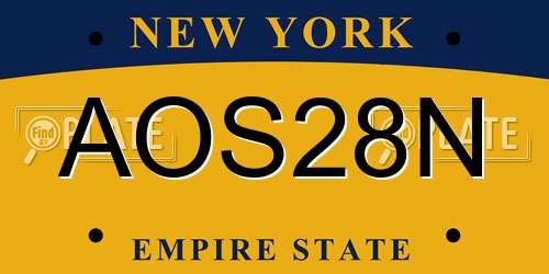 AOS28N New York License Plate