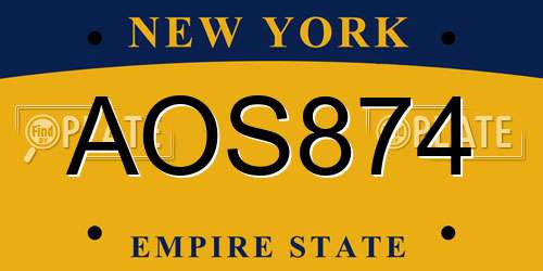 AOS874 New York License Plate