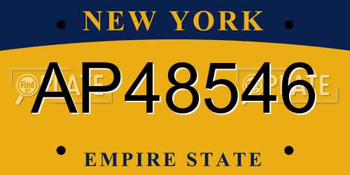 AP48546 New York License Plate