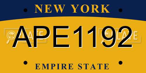 APE1192 New York License Plate
