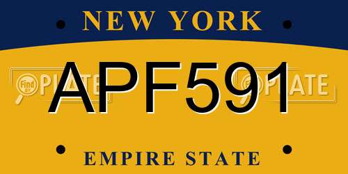 APF591 New York License Plate