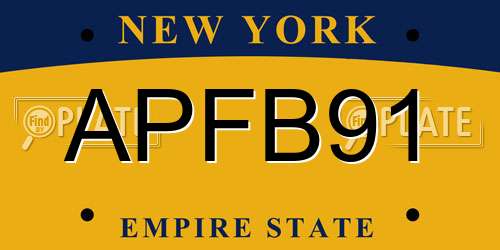 APFB91 New York License Plate