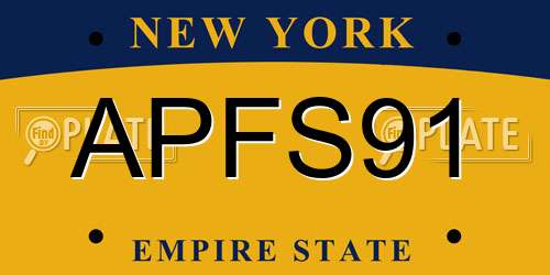APFS91 New York License Plate