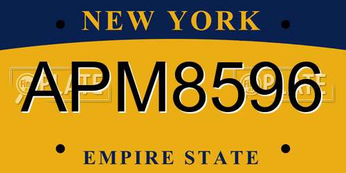 APM8596 New York License Plate
