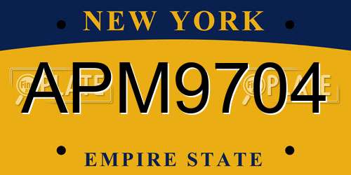 APM9704 New York License Plate