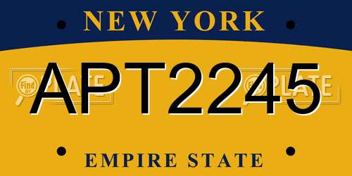 APT2245 New York License Plate