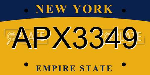 APX3349 New York License Plate