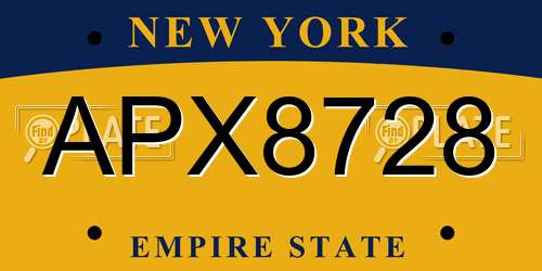 APX8728 New York License Plate