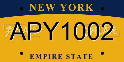 APY1002 New York License Plate