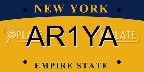 AR1YA New York License Plate