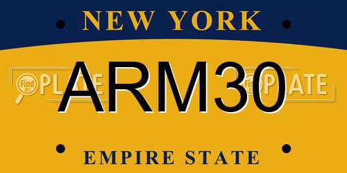 ARM30 New York License Plate