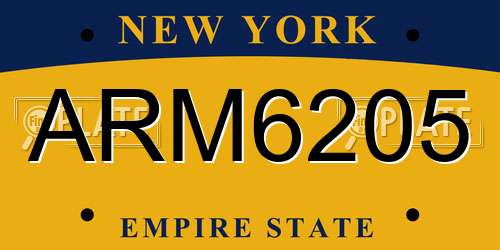 ARM6205 New York License Plate