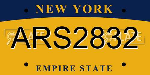 ARS2832 New York License Plate