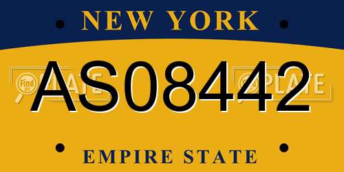 AS08442 New York License Plate
