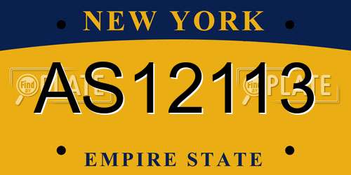 AS12113 New York License Plate