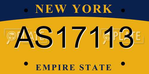 AS17113 New York License Plate