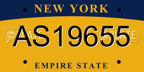 AS19655 New York License Plate