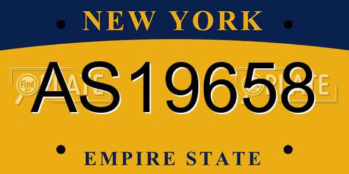 AS19658 New York License Plate