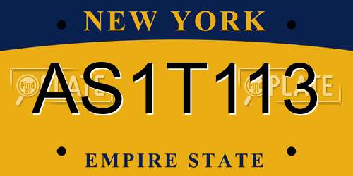 AS1T113 New York License Plate