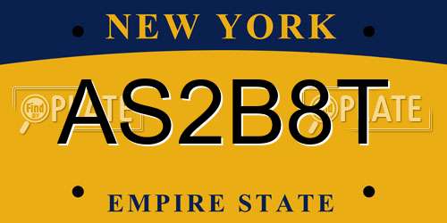 AS2B8T New York License Plate