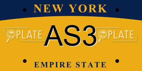 AS3 New York License Plate
