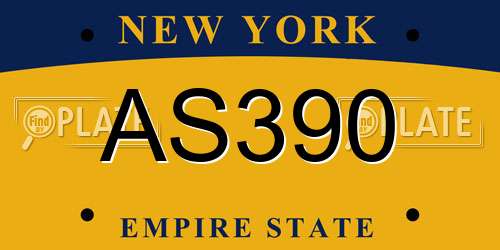 AS390 New York License Plate