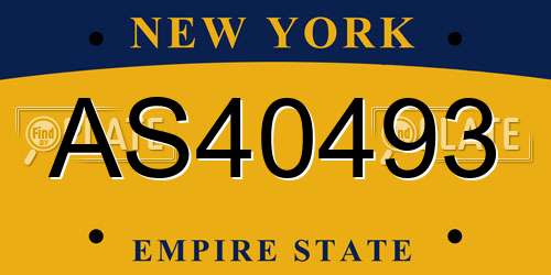 AS40493 New York License Plate