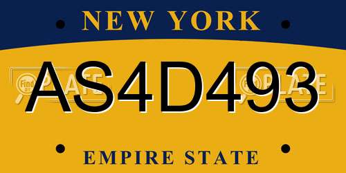 AS4D493 New York License Plate