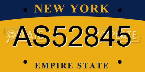 AS52845 New York License Plate