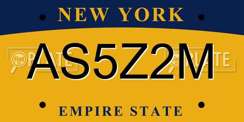 AS5Z2M New York License Plate