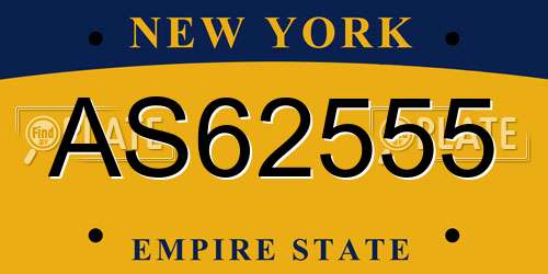 AS62555 New York License Plate