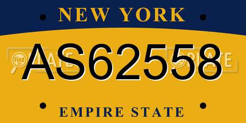 AS62558 New York License Plate